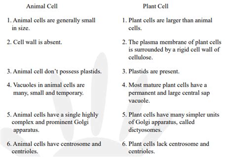 Make a comparison and write down ways in which plant cells are ...