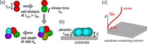 Image result for Cell Multiphysics Simulation
