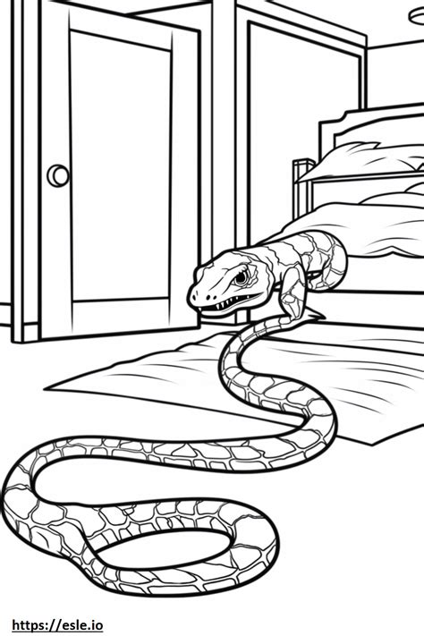 Image result for Carpet Python Collections