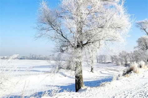冬天雪景图片素材-正版创意图片400934375-摄图网