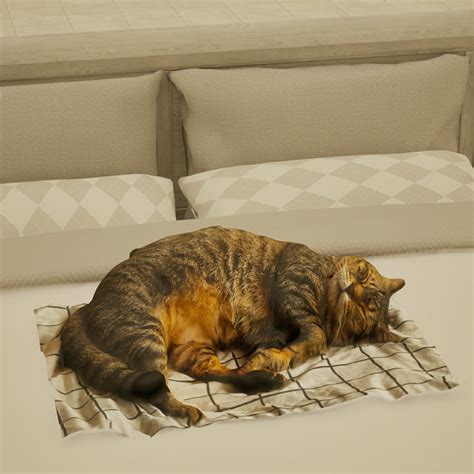 Pet Sleeping Cat 3D Model - inZOI Canvas