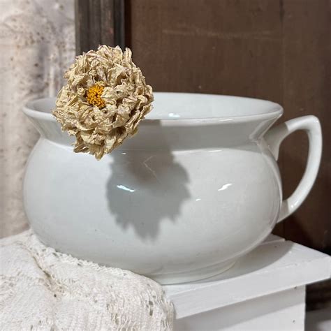 Image result for Using Old Chamber Pot