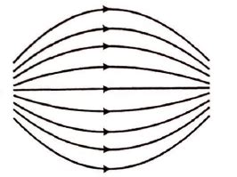 Consider the four field patterns shown. Assuming there are no charges ...