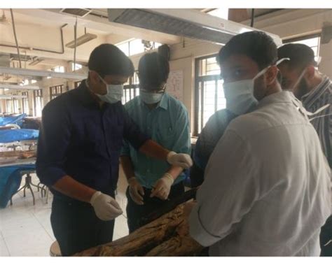 Academic Activities & Future Plans of Neurosurgery Department