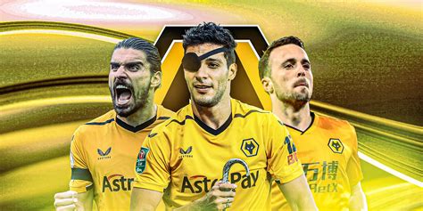 Image result for Wolves Footballl