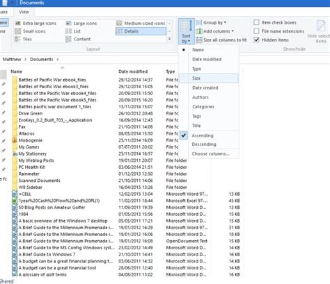 Image result for Beginner Tutorial Windows 1.0 File Explorer
