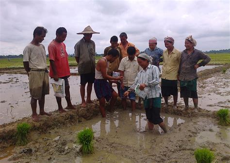 Welcome to Krishi Vigyan Kendra, Momong