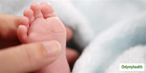 Everything You Need To Know About Freezing Eggs And Sperms By Dr Akta ...