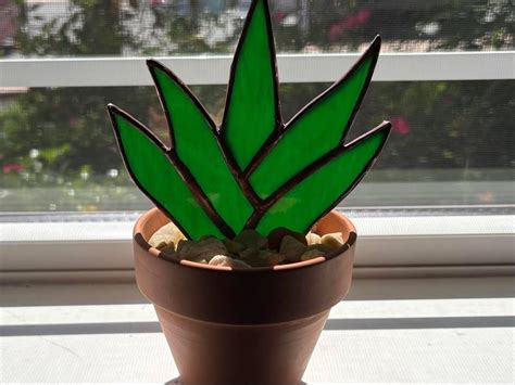 SOLD OUT! Stained Glass 101 Aloe Plant with Norm 8/17 @11am, 2613 ...