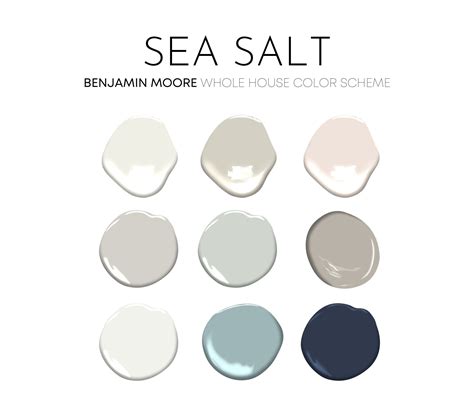 Sea Salt Benjamin Moore Paint Palette - Modern Coastal Interior Paint ...