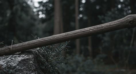 Biodiversity 的图像结果