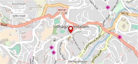 Shinkows- Chinese Restaurant, Ooty - Restaurant menu, prices and reviews