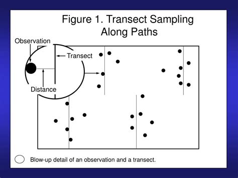 Image result for Transect Sampling