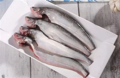 Buy Fresh Whole Pabda Fish Cleaned with Head – Fast Delivery