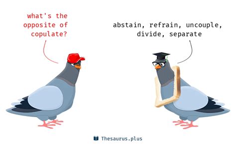 Image result for How to Copulate