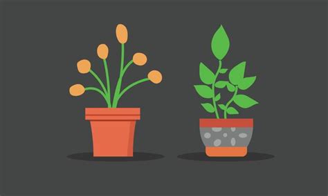 Image result for Plant Animation Tutorial