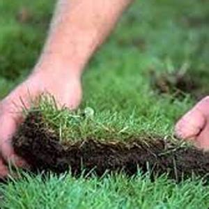 The Warden Company | Landscaping & Gardening