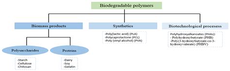 Biodegradable Antimicrobial Films for Food Packaging: Effect of ...