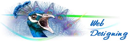 Priime Tec Web Design & SEO - Freelancer Designer