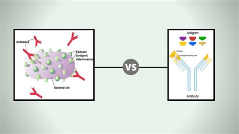 Spectrometer vs Spectrophotometer - Biology Notes Online