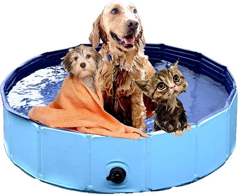 Best Dog Bath Tub [2025] Portable Pet Wash Tubs Buying Guide [Review]