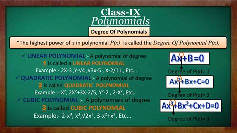 Image result for Polynomials Class 9 Real Life Examples