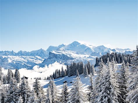 Live weather and snow conditions in the resorts | Portes du Soleil| Portes du Soleil