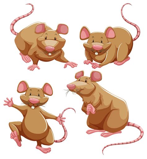 Rat Clipart