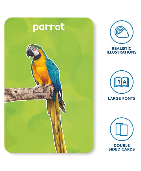 Skillmatics Flash Cards First 100 Animals Multicolour - 50 Pieces ...