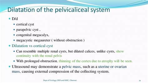 ULTRASOUND IN UROLOGY | PDF