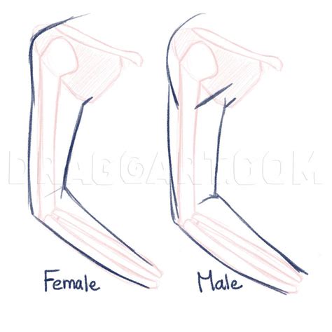 How To Draw Anime Female Arms