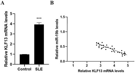 UC-BSCs Exosomes Regulate Th17/Treg Balance in Patients with Systemic ...