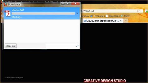 Sample Flash Intro 的图像结果