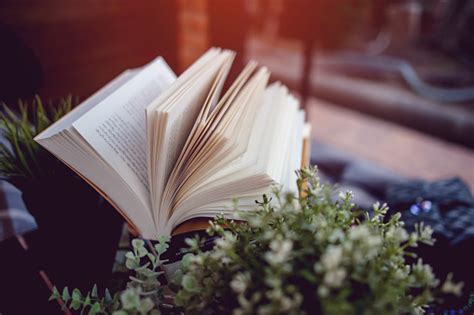 Image result for Book Report Introduction Examples