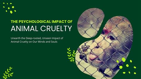 Image result for Animal Testing Controversy