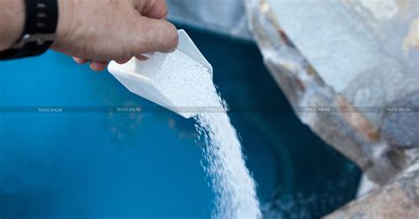 Chlorine Supplied Free by Service Recipients not Part of Gross Amount ...