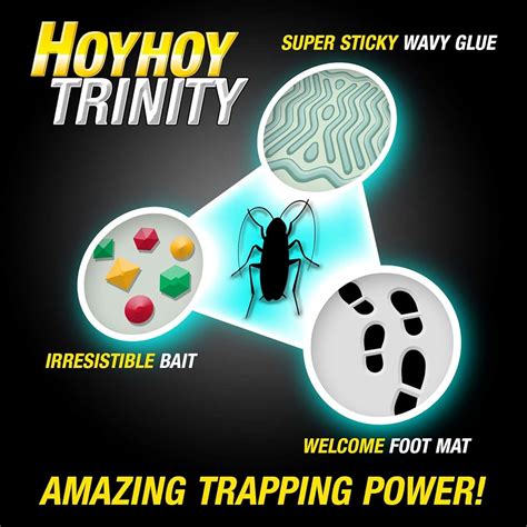 HOYHOY HOY HOY Trap A Roach - 10 Traps [2 Pack] Baited Glue India | Ubuy