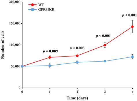 GPR41 Regulates the Proliferation of BRECs via the PIK3-AKT-mTOR ...