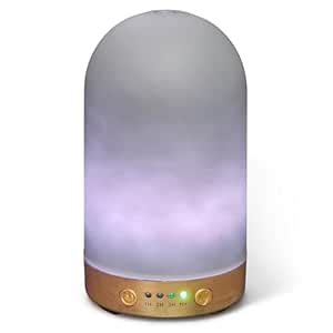 Earnest Living Essential Oil Diffuser 100 ml Ultrasonic Aroma Diffuser ...