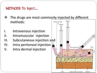 Image result for Introvet Injection