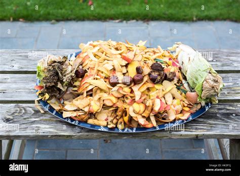 Image result for Kitchen Waste Composting