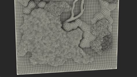 3D Indoor Plantscape Moss Wall Fur | 3D Molier International