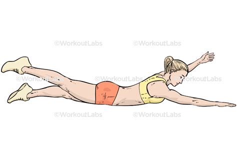 Image result for Contralateral Limb Reflex