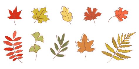 Image result for Fall Leaves Drawing