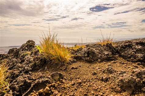 Volcano National Park on Behance
