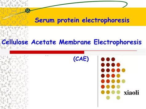 Image result for Class 8 Computer Science Notes