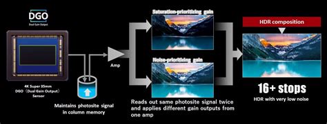 Image result for Canon R6 Dynamic Range