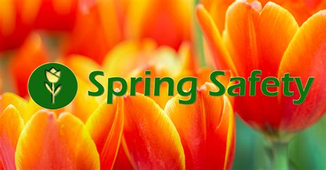 Image result for Spring Secuirty Course