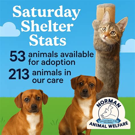 Norman Animal Welfare | 📊 Saturday Shelter Stats – July 12, 2025 We ...
