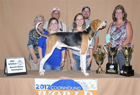 Coonhound World Championship Historical Winners List | United Kennel ...